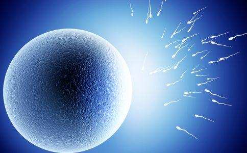 案例